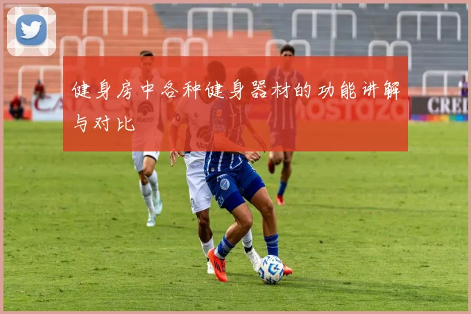 健身房中各种健身器材的功能讲解与对比