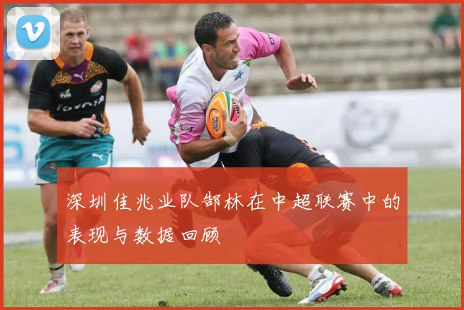 深圳佳兆业队郜林在中超联赛中的表现与数据回顾