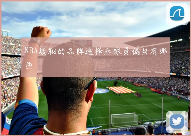 NBA战靴的品牌选择和球员偏好有哪些