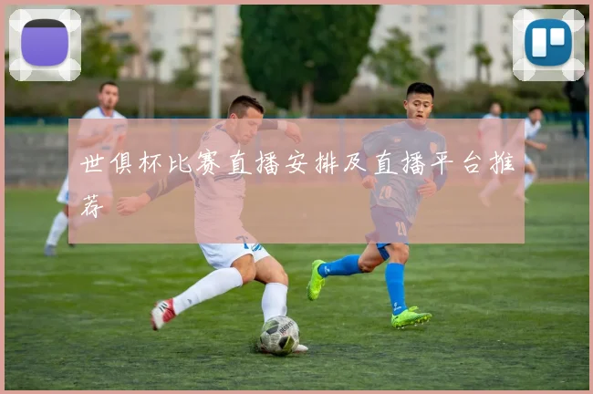 世俱杯比赛直播安排及直播平台推荐